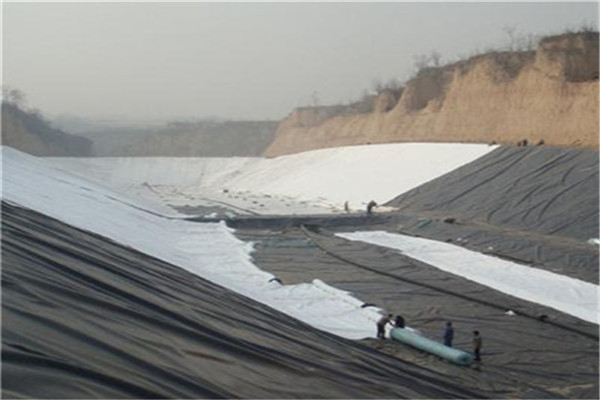 5038530D2.jpg 5038530D2.jpg