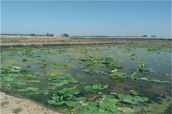 21990FD51.jpg 21990FD51.jpg