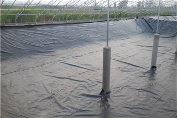 728C37678.jpg 728C37678.jpg