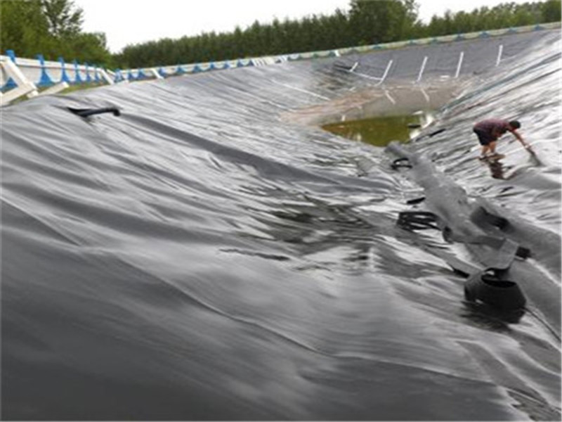 EBDD79550.jpg EBDD79550.jpg